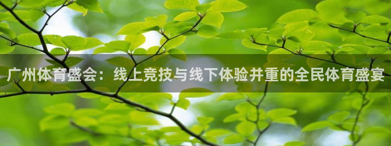 广州体育盛会：线上竞技与线下体验并重的全民体育盛宴