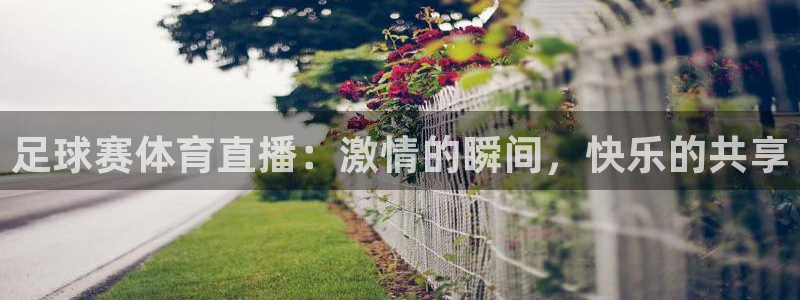足球赛体育直播：激情的瞬间，快乐的共享