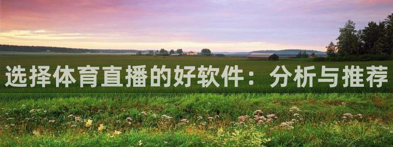 选择体育直播的好软件：分析与推荐
