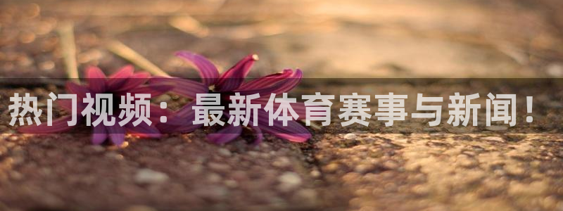 热门视频：最新体育赛事与新闻！