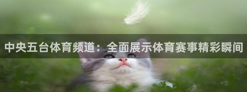 中央五台体育频道：全面展示体育赛事精彩瞬间