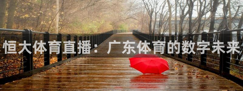 恒大体育直播：广东体育的数字未来