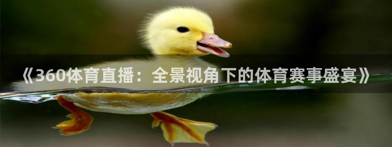 《360体育直播：全景视角下的体育赛事盛宴》