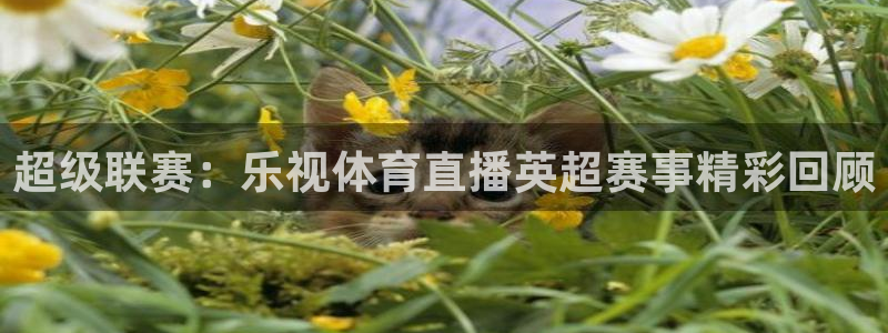 超级联赛：乐视体育直播英超赛事精彩回顾