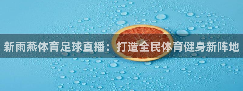 新雨燕体育足球直播：打造全民体育健身新阵地