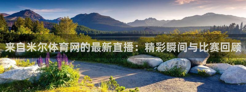 来自米尔体育网的最新直播：精彩瞬间与比赛回顾
